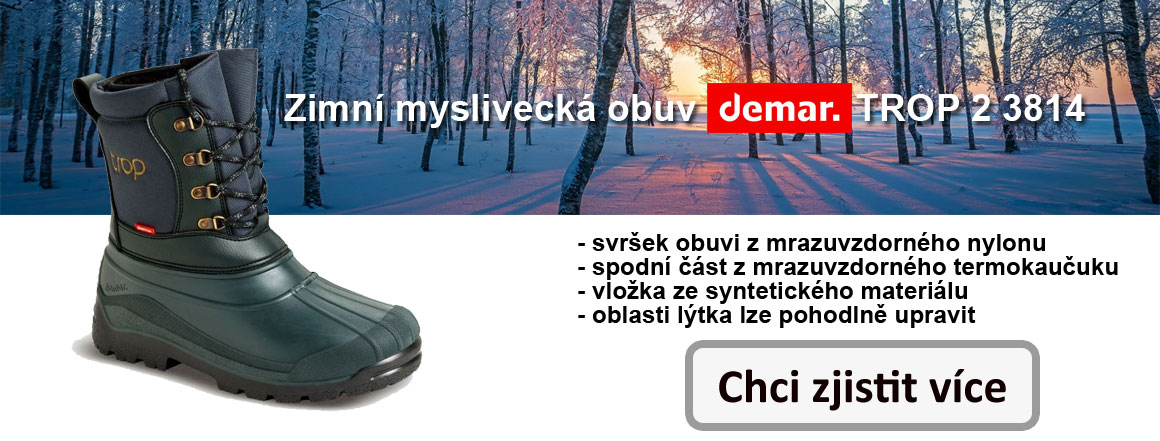 p_zima_2_cz